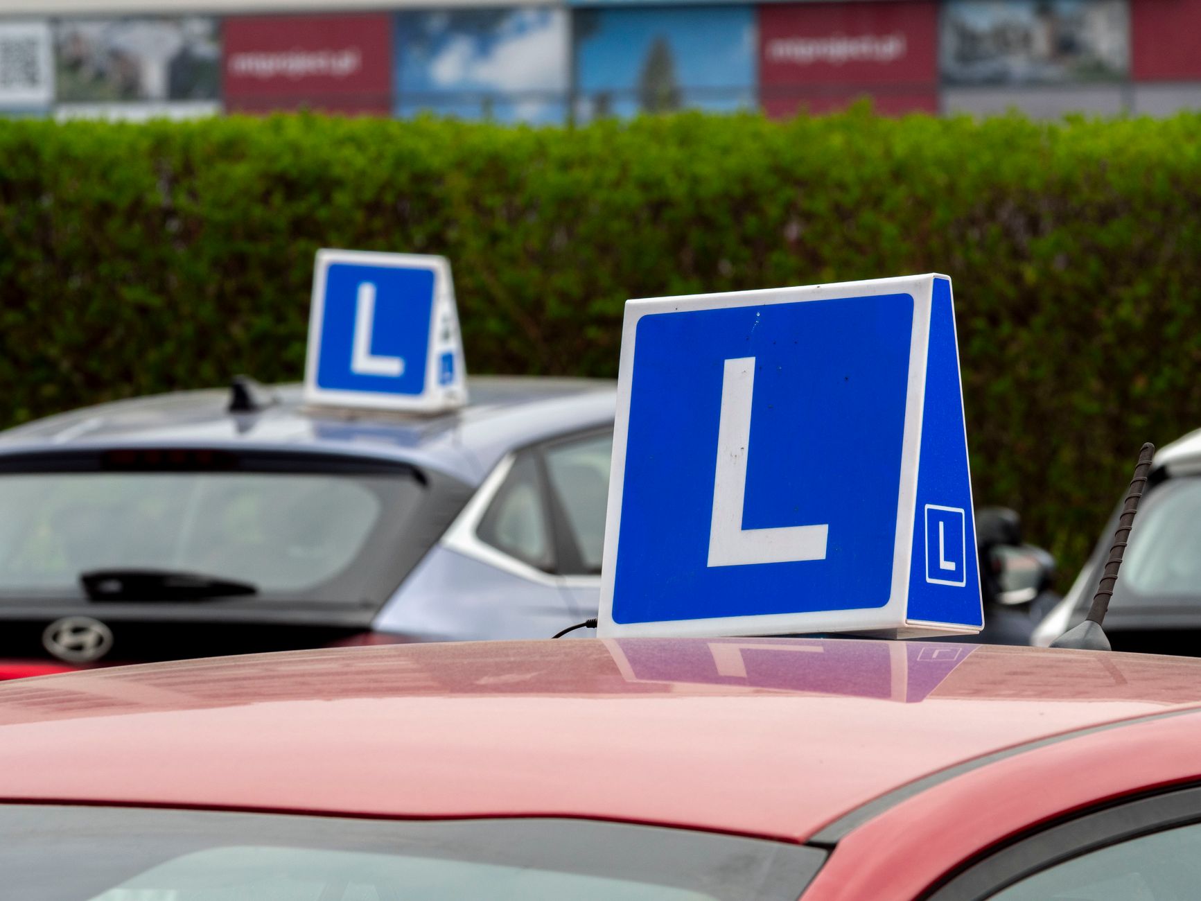 Learner cars with training signs lined up at a driving school, the plain tools of a job done properly
