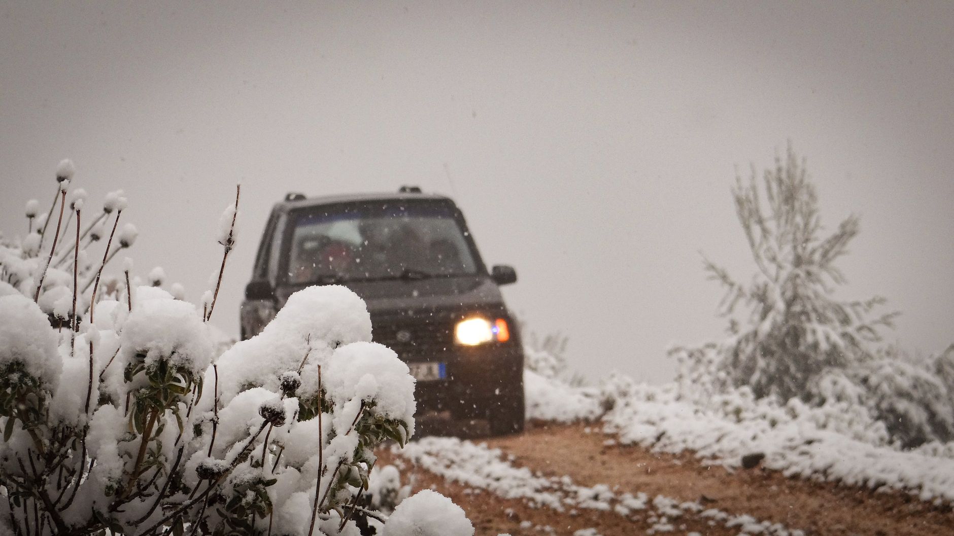 A car working its way along a snow-covered road hemmed by winter trees, grip and space both in short supply